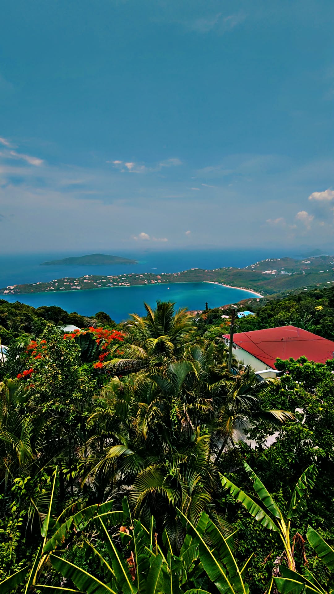 Aerial view of a lush Caribbean island and turquoise bay